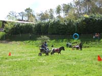 20090417_concoursEcuries_du_Rosier0208