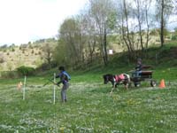 20090417_concoursEcuries_du_Rosier0218