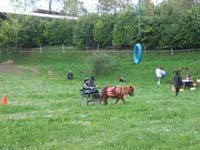 20090417_concoursEcuries_du_Rosier0228