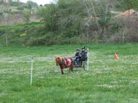 20090417_concoursEcuries_du_Rosier0232