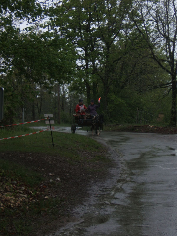 20090425_Endurance_Attelee_Beaumont0001