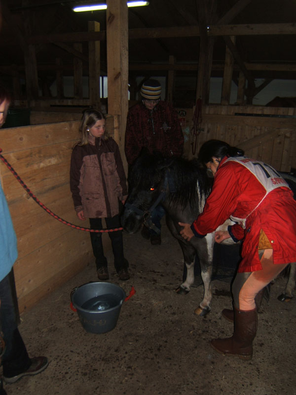 20090425_Endurance_Attelee_Beaumont0007