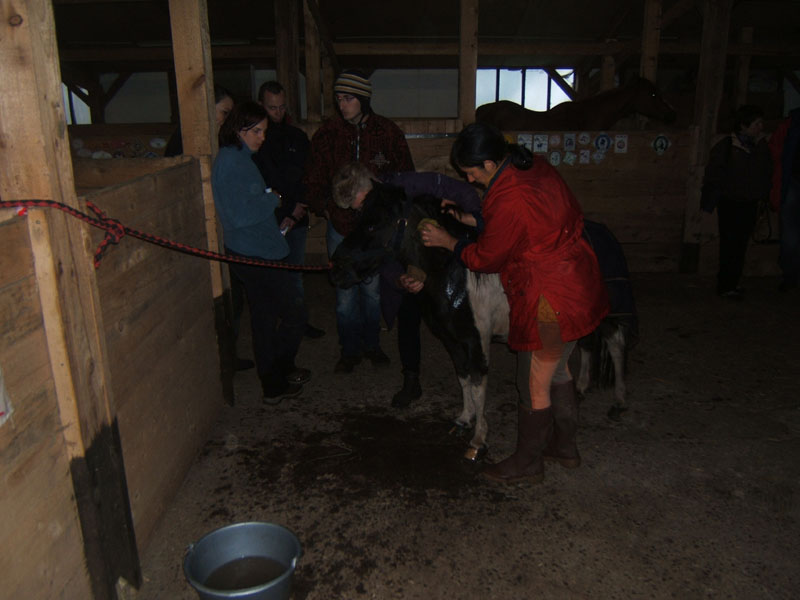 20090425_Endurance_Attelee_Beaumont0008