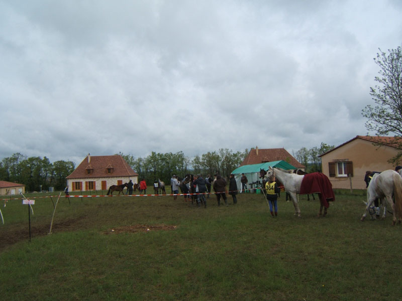 20090425_Endurance_Attelee_Beaumont0016
