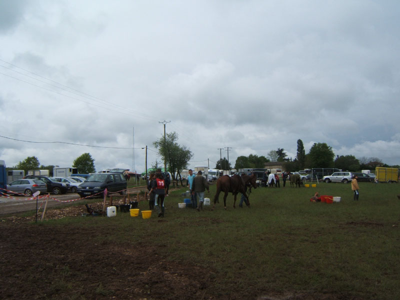 20090425_Endurance_Attelee_Beaumont0017