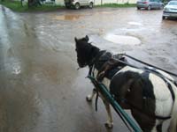 20090425_Endurance_Attelee_Beaumont0005