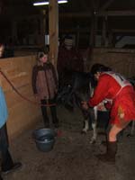20090425_Endurance_Attelee_Beaumont0007