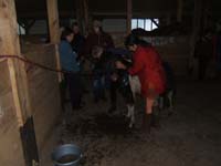20090425_Endurance_Attelee_Beaumont0008