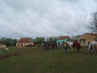 20090425_Endurance_Attelee_Beaumont0016