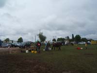 20090425_Endurance_Attelee_Beaumont0017