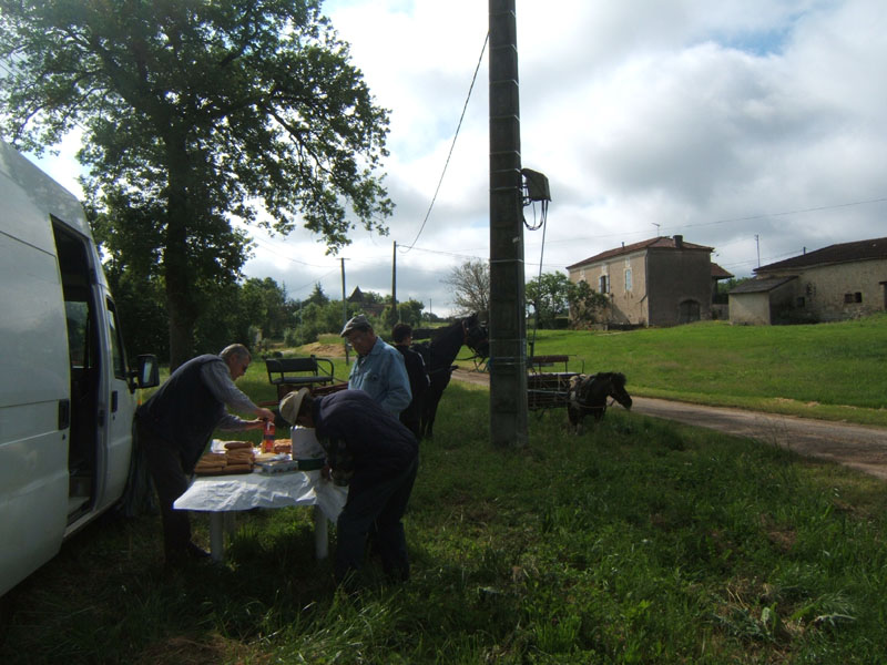 20090517_concours_attelage_serignac0052