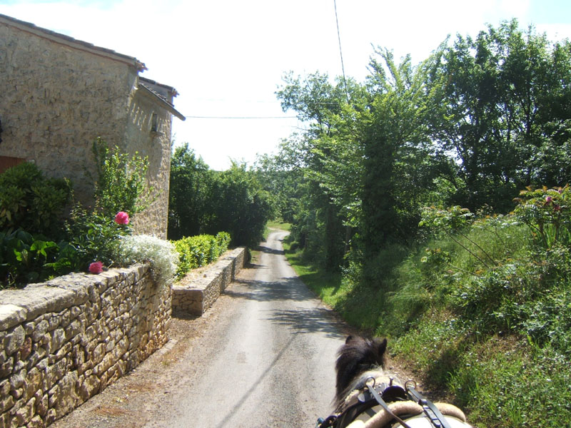 20090517_concours_attelage_serignac0083