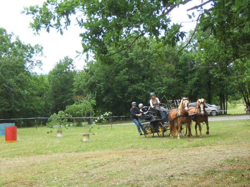 20090517_concours_attelage_serignac0151
