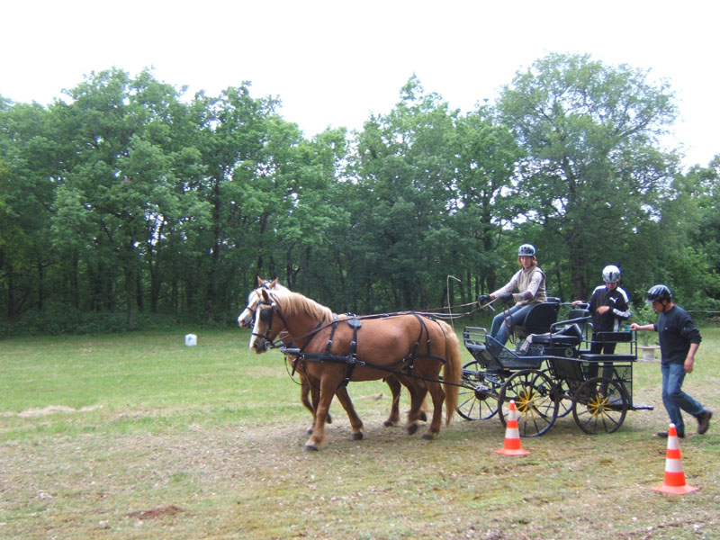20090517_concours_attelage_serignac0160