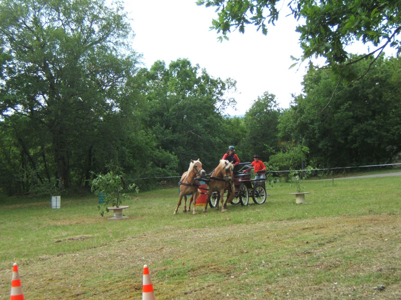 20090517_concours_attelage_serignac0171
