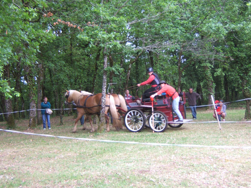 20090517_concours_attelage_serignac0183