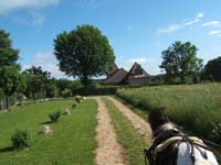 20090517_concours_attelage_serignac0068
