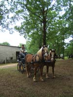 20090517_concours_attelage_serignac0130