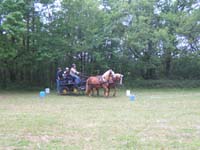 20090517_concours_attelage_serignac0143