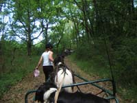 20090521_lavalade_rallye0012