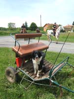 20090521_lavalade_rallye0018