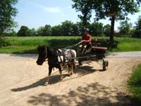 20090621_rallye_lavalade0094