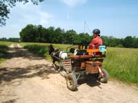20090621_rallye_lavalade0095