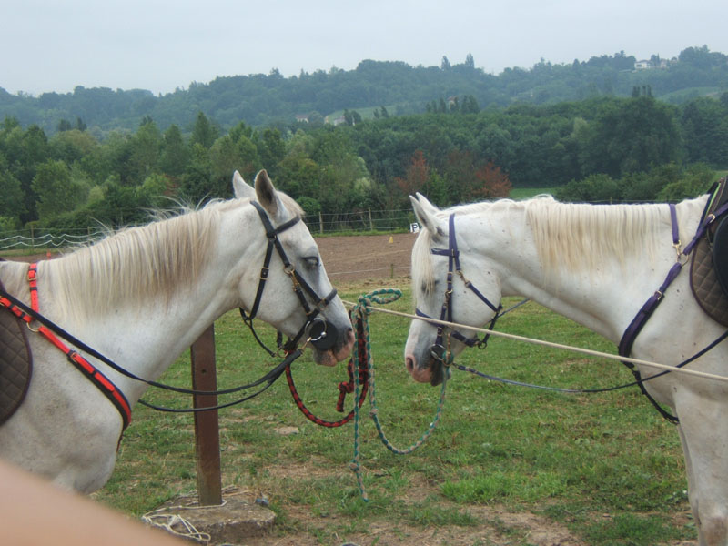 20090614_TREC_Branne0020