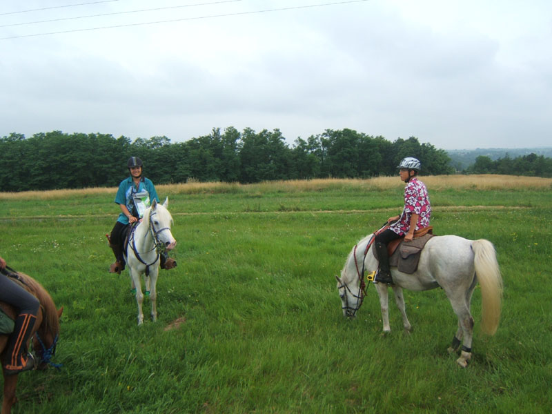 20090614_TREC_Branne0052