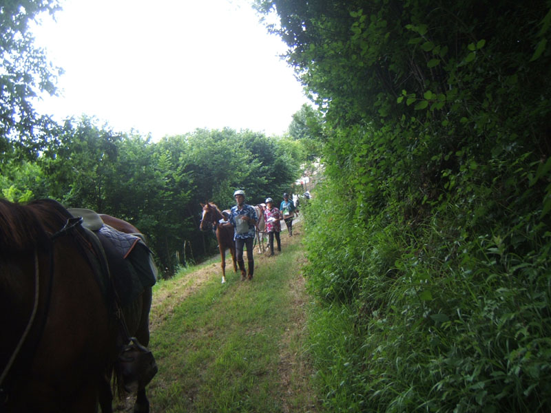 20090614_TREC_Branne0062