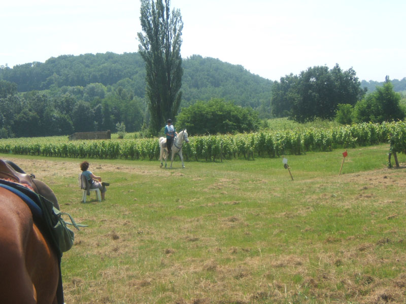 20090614_TREC_Branne0072