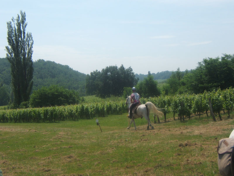 20090614_TREC_Branne0074