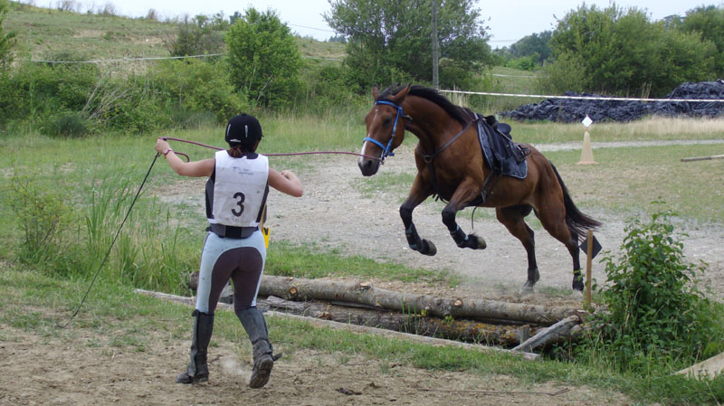 20090614_TREC_Branne_Julien_0001