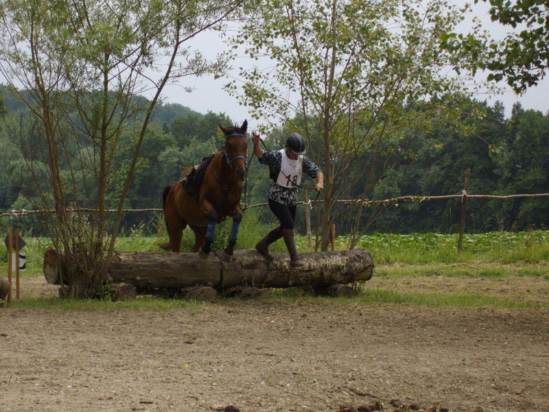 20090614_TREC_Branne_Julien_0010