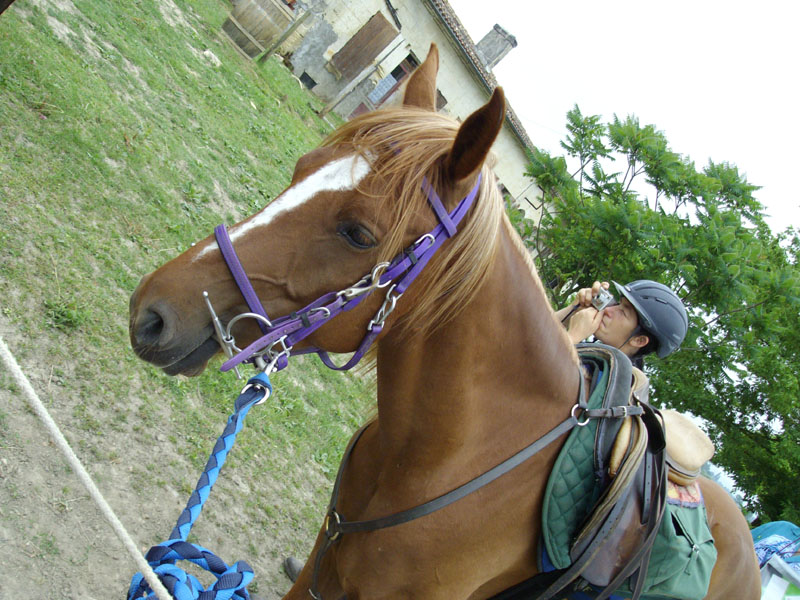 20090614_TREC_Branne_Julien_0013