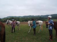 20090614_TREC_Branne0005