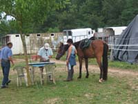 20090614_TREC_Branne0010