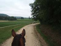 20090614_TREC_Branne0038