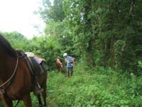20090614_TREC_Branne0043