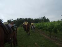 20090614_TREC_Branne0044