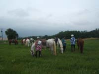 20090614_TREC_Branne0046