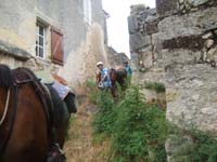 20090614_TREC_Branne0057