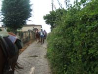 20090614_TREC_Branne0060