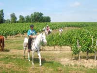 20090614_TREC_Branne0069