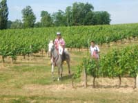 20090614_TREC_Branne0070