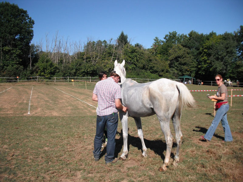 20090830_endurance_rouffignac0037