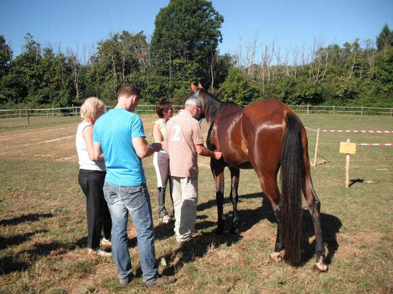 20090830_endurance_rouffignac0049