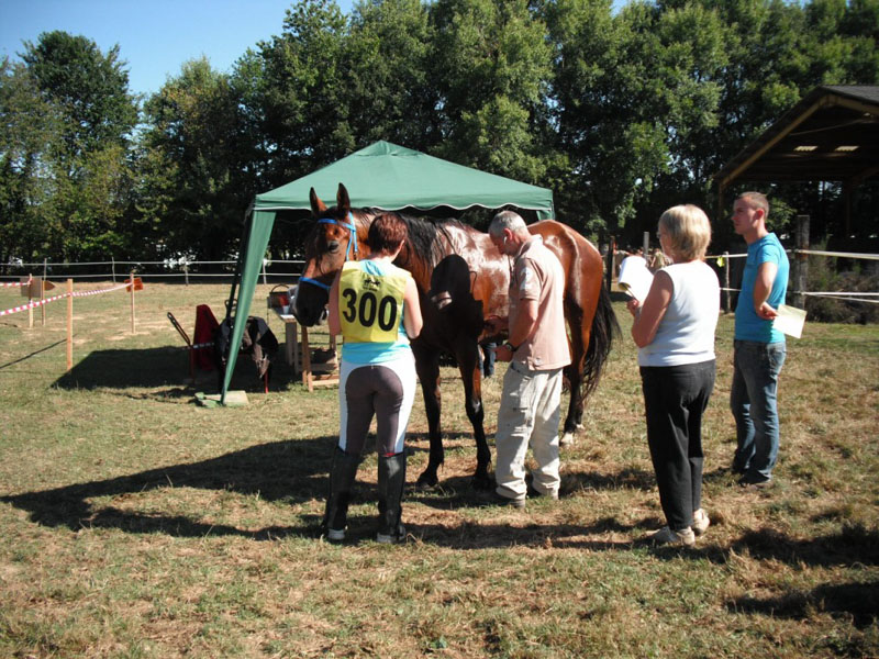 20090830_endurance_rouffignac0050
