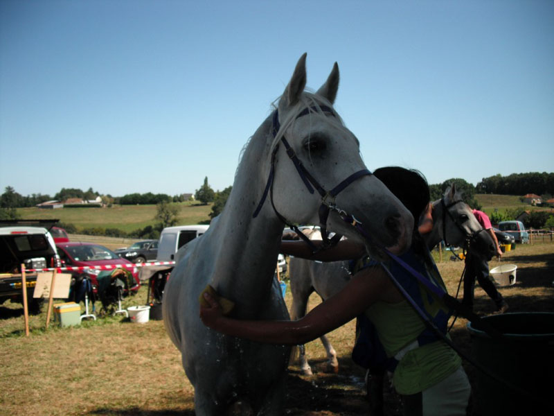 20090830_endurance_rouffignac0107