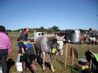 20090830_endurance_rouffignac0035